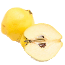 Ayva