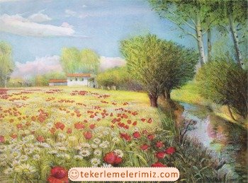 Masal Tekerlemesi-50